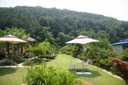Top Damyang