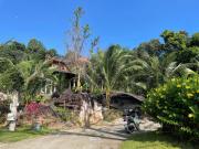 Ong Vinh House - Living Among Nature ! Ong Vinh House - Living Among Nature !