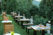 Top Pelling