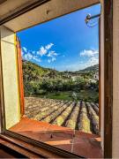 Top Torre delle Stelle