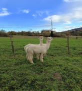 Top Ustrzyki Dolne Top Ustrzyki Dolne