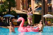 Top Vilamoura Top Vilamoura