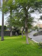 Top Aci SantʼAntonio