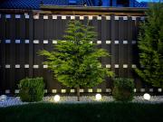 Top Leverkusen Top Leverkusen