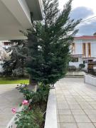 STEMA luxury apartment διαμέρισμα υψηλής αισθητικής STEMA luxury apartment διαμέρισμα υψηλής αισθητικής