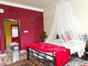 Top Mysore
