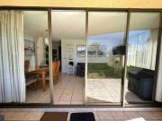 Top Papudo Top Papudo