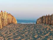 Maisonnette 2* à Mimizan Plage pour 3 pers, proche océan et pistes cyclables - FR-1-50-122