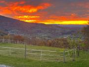 Top Kostanjevica na Krki