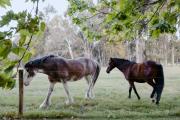 Top Margaret River