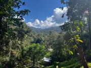 Wishing Star Cottage