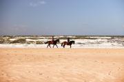 Top Bloemendaal