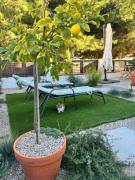 Apartment Lemon Tree