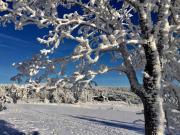 Top Kurort Oberwiesenthal