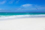 Top Panama City Beach