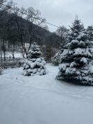 Patysiówka Patysiówka