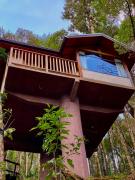 Mushrooms Ecovillage