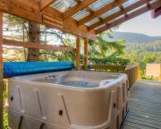Top Manzanita