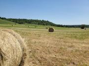 Top Chalonnes-sur-Loire