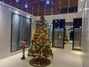 Top Fortaleza