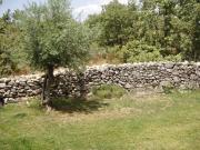Top Castelo de Vide