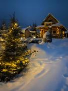 Top Tabaszowa Top Tabaszowa