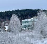 Top Sienna Top Sienna