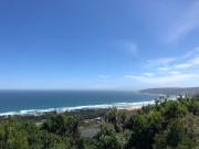 Forest Hill Wilderness