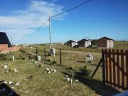 Top San Eduardo del Mar