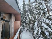 Top Demanovska Dolina