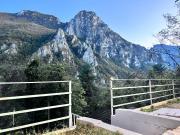 Top Matka