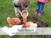 Top Fehmarn