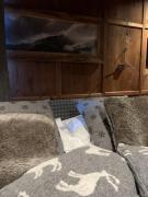 Top Gressoney-la-Trinité