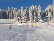 Top Wenigzell