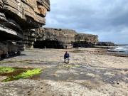 Unique restored barn with stove