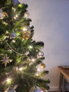 Cottage by the river in Cenarth with fishing and Wifi