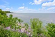 Top Port Hope