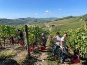 Top Radda in Chianti