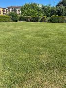 Top St. St. Constantine and Helena