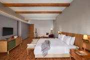 Top Solan