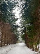 Top Stronie Śląskie