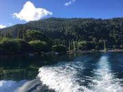 Top Panguipulli Top Panguipulli