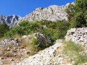 Top Makarska