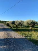 Top Saint-Paul-Trois-Châteaux