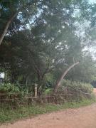 Top Auroville