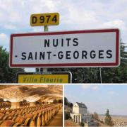 Top Nuits-Saint-Georges