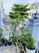 Top Ho Chi Minh Top Ho Chi Minh