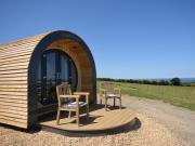 1 Bed in St Davids 62569 1 Bed in St Davids 62569