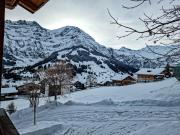 Top Adelboden
