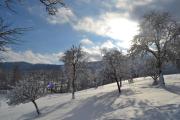 Top Aurach am Hongar